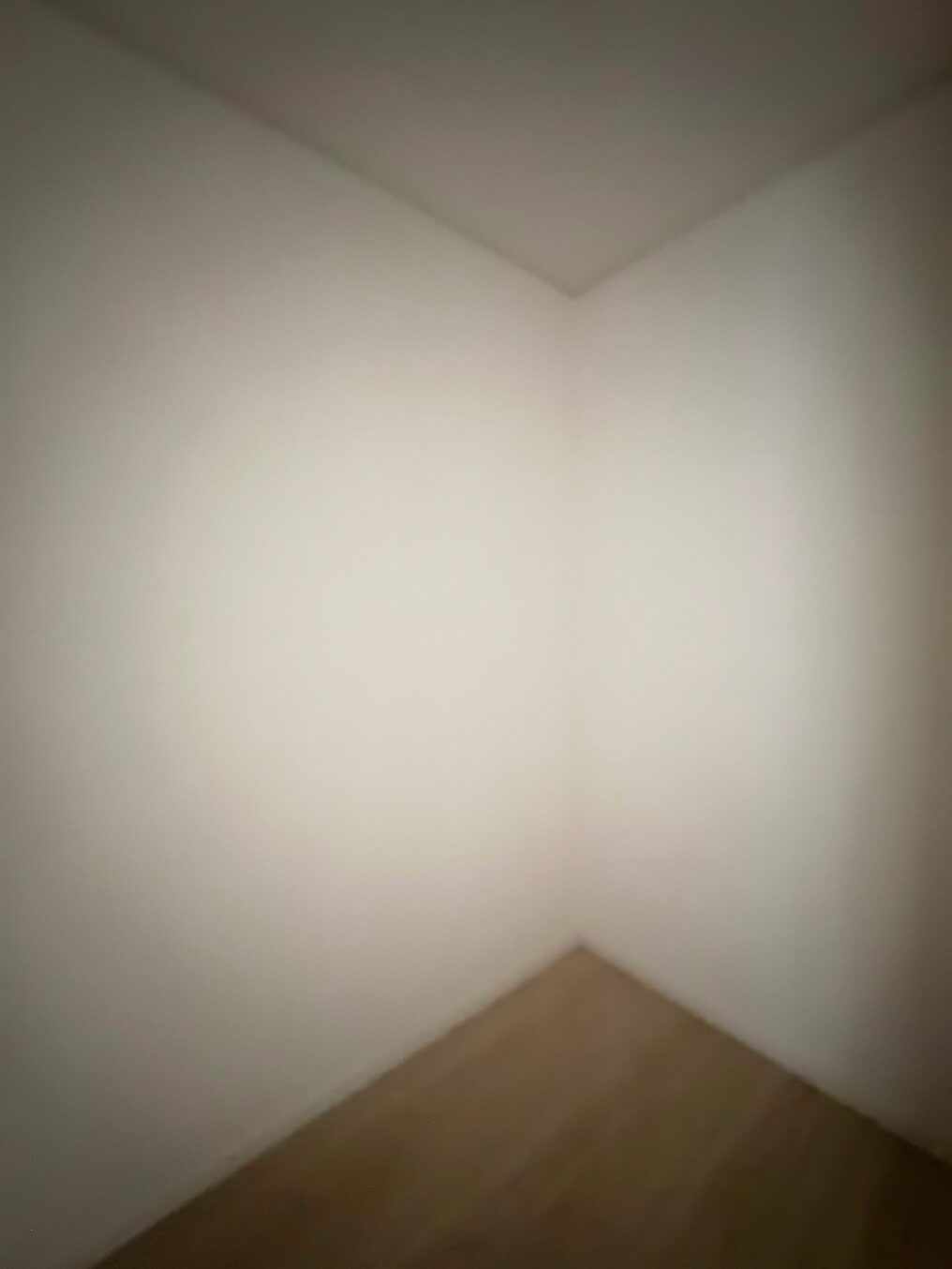 00219_20260526_16